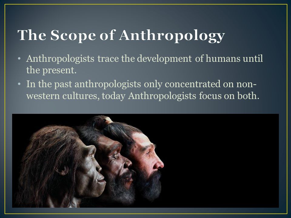 A discussion of stories about the experiences of anthropologists in different cultures